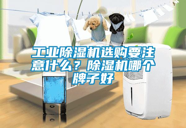 工業(yè)除濕機選購要注意什么？除濕機哪個(gè)牌子好