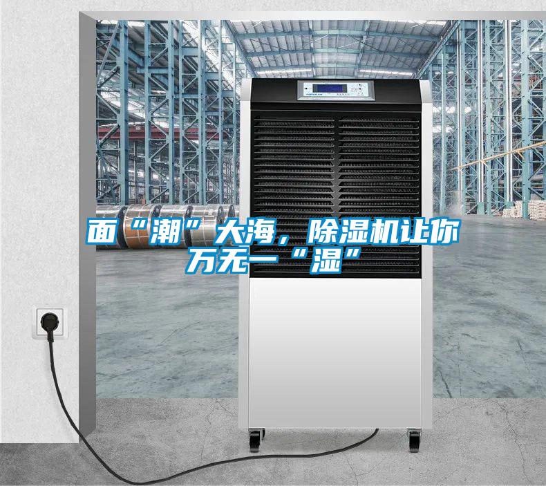 面“潮”大海，除濕機讓你萬(wàn)無(wú)一“濕”