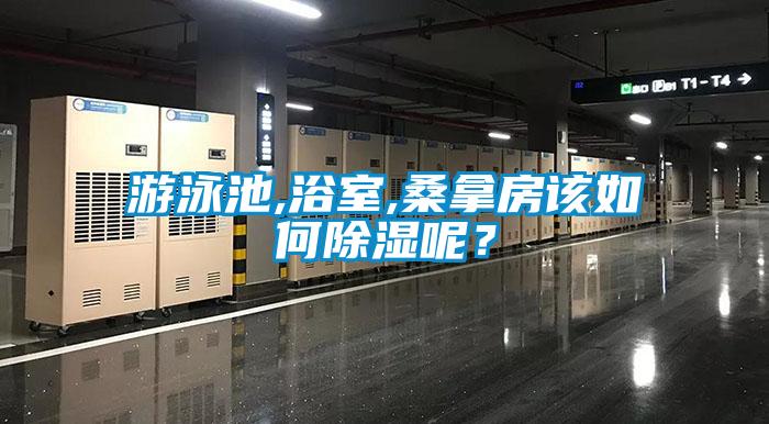 游泳池,浴室,桑拿房該如何除濕呢？