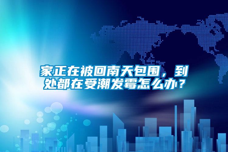 家正在被回南天包圍，到處都在受潮發(fā)霉怎么辦？