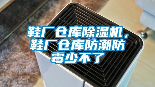 鞋廠(chǎng)倉庫除濕機，鞋廠(chǎng)倉庫防潮防霉少不了