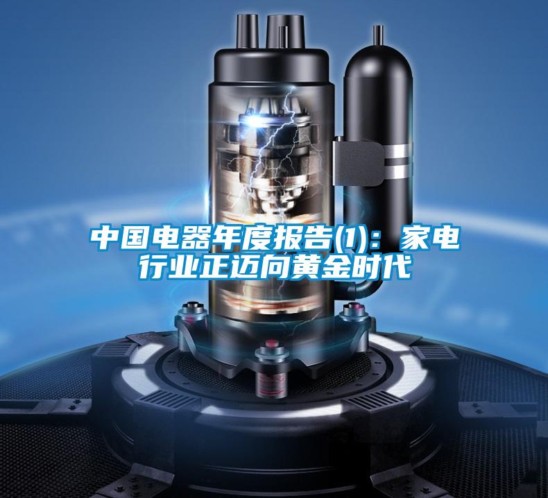 中國電器年度報告(1)：家電行業(yè)正邁向黃金時(shí)代