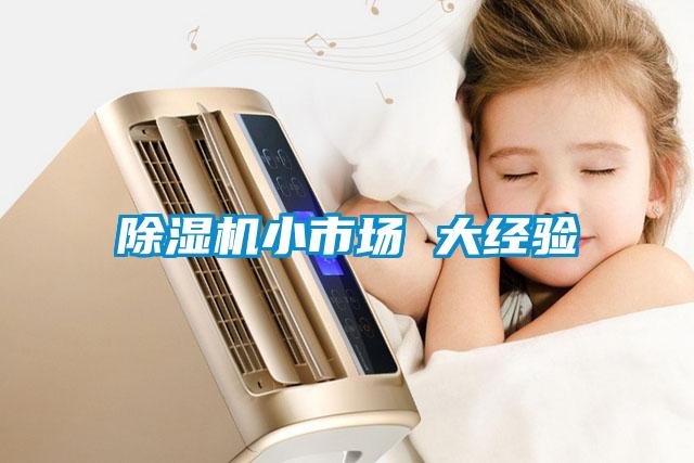 除濕機小市場(chǎng) 大經(jīng)驗