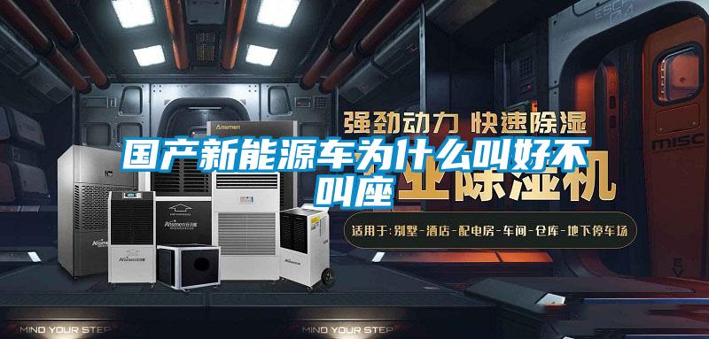 國產(chǎn)新能源車(chē)為什么叫好不叫座
