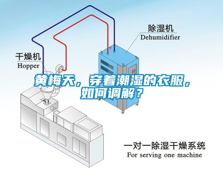 黃梅天，穿著(zhù)潮濕的衣服，如何調解？