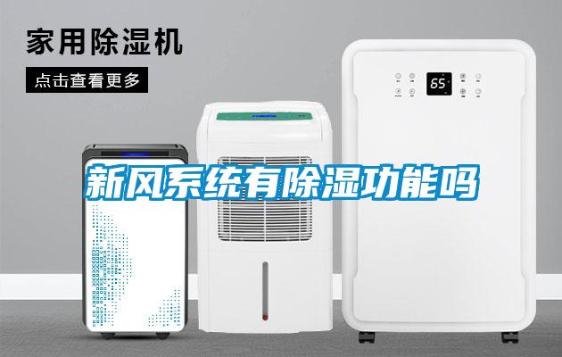 新風(fēng)系統有除濕功能嗎