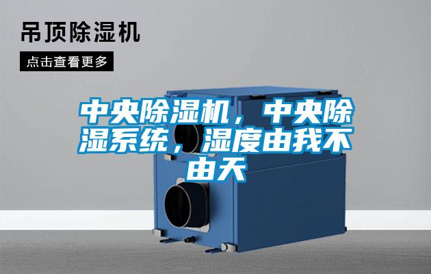 中央除濕機，中央除濕系統，濕度由我不由天