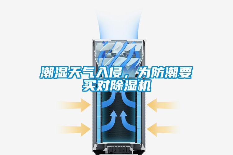潮濕天氣入侵，為防潮要買(mǎi)對除濕機