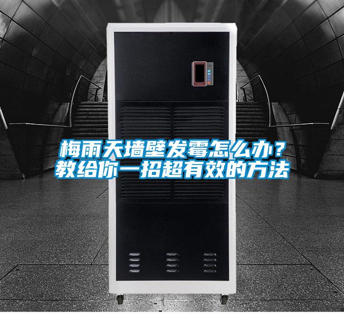 梅雨天墻壁發(fā)霉怎么辦？教給你一招超有效的方法