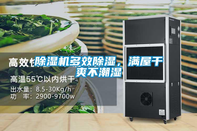 除濕機多效除濕，滿(mǎn)屋干爽不潮濕