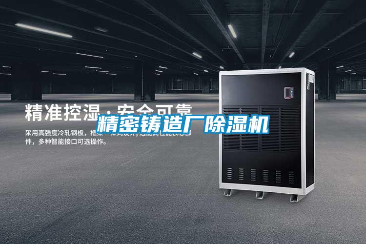 精密鑄造廠(chǎng)除濕機