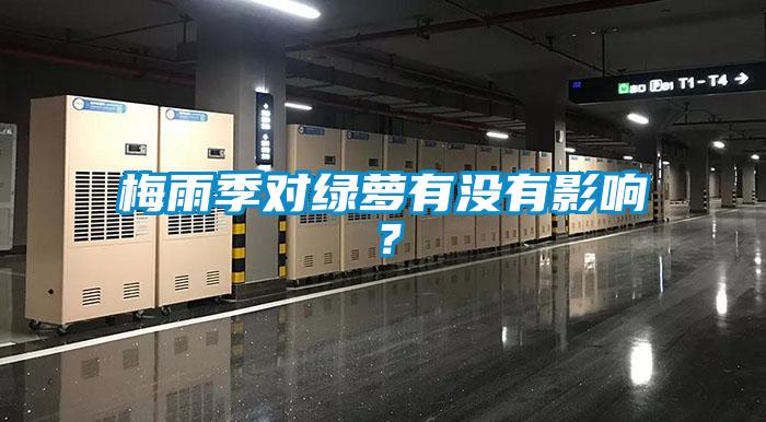 梅雨季對綠蘿有沒(méi)有影響？