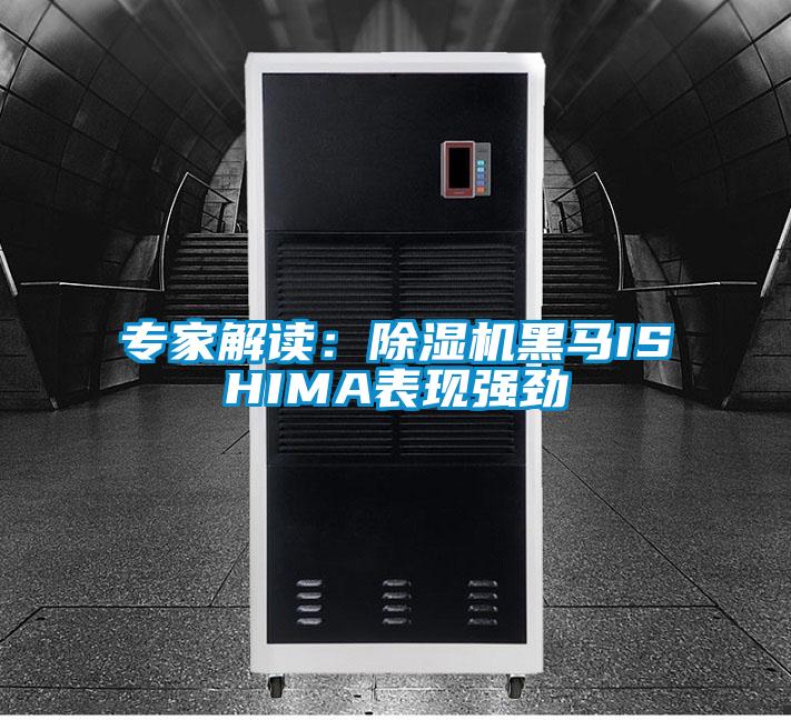 專(zhuān)家解讀：除濕機黑馬ISHIMA表現強勁