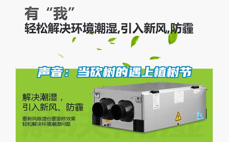 聲音：當砍樹(shù)的遇上植樹(shù)節