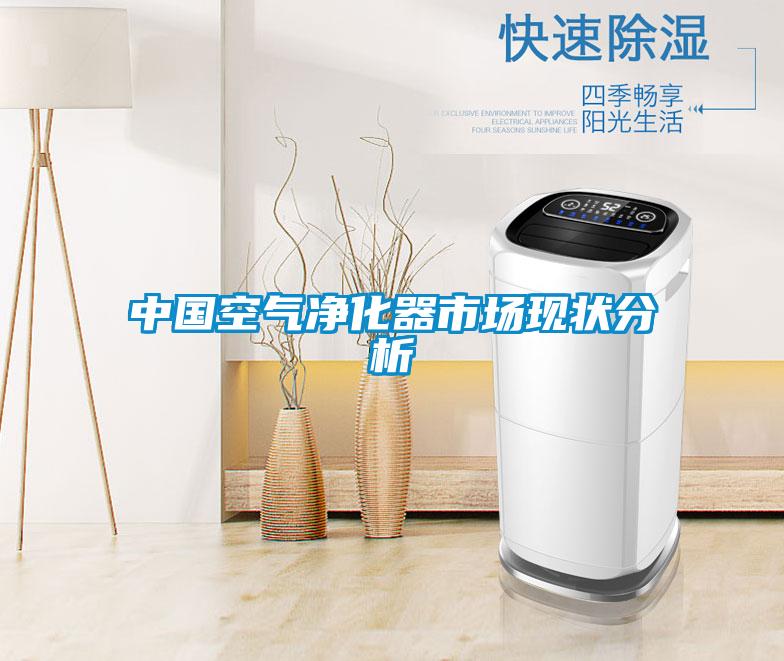 中國空氣凈化器市場(chǎng)現狀分析