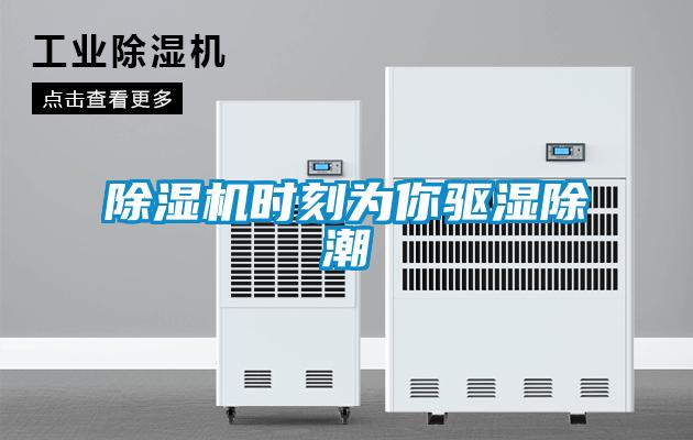 除濕機時(shí)刻為你驅濕除潮