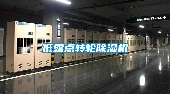 低露點(diǎn)轉輪除濕機