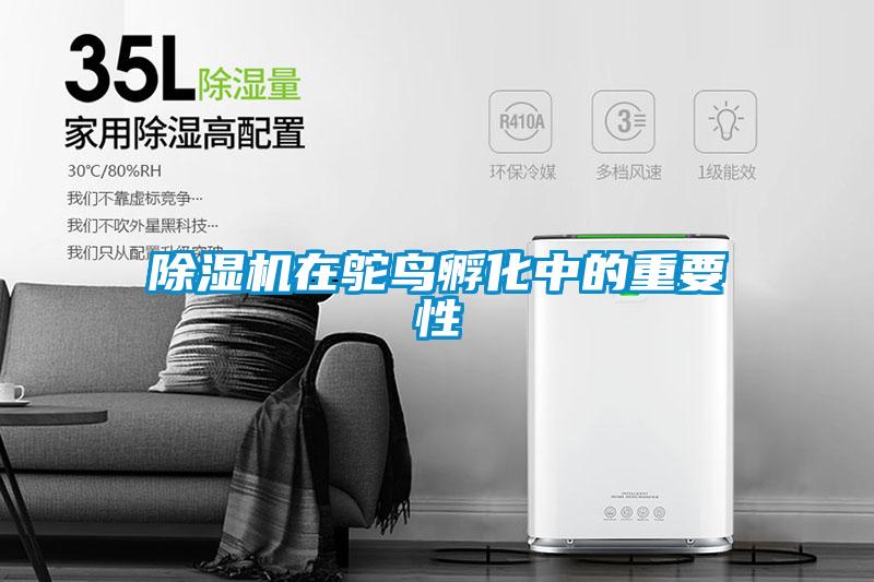 除濕機在鴕鳥(niǎo)孵化中的重要性