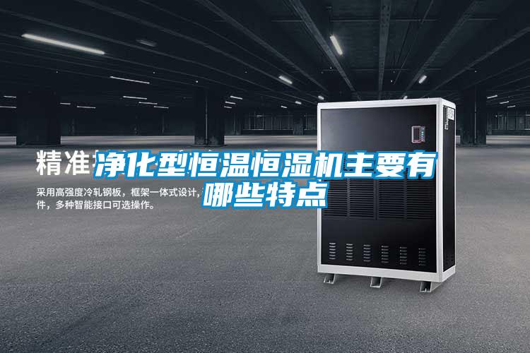 凈化型恒溫恒濕機主要有哪些特點(diǎn)