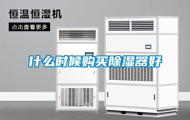 什么時(shí)候購買(mǎi)除濕器好