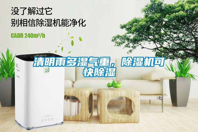 清明雨多濕氣重，除濕機可快除濕
