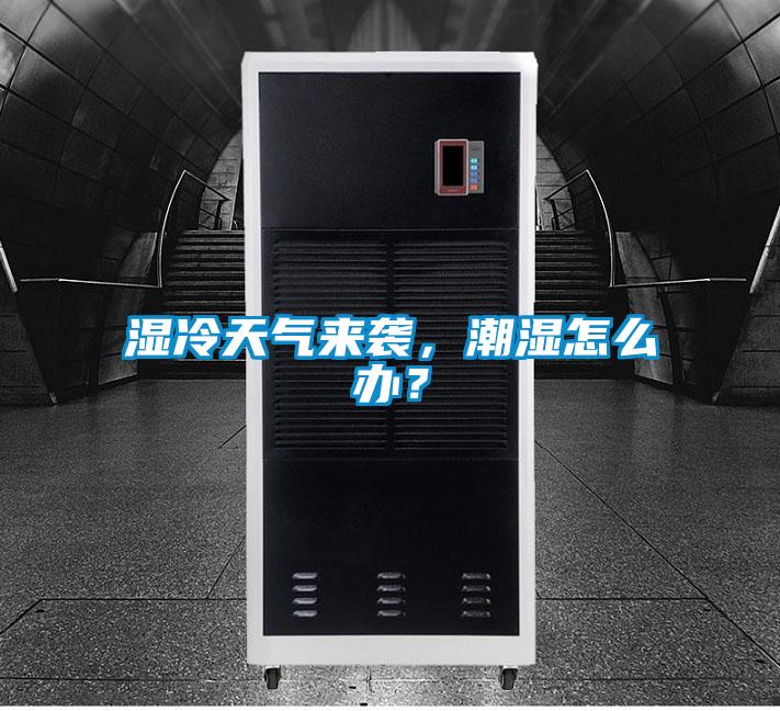 濕冷天氣來(lái)襲，潮濕怎么辦？
