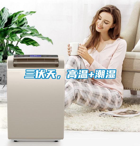 三伏天，高溫+潮濕