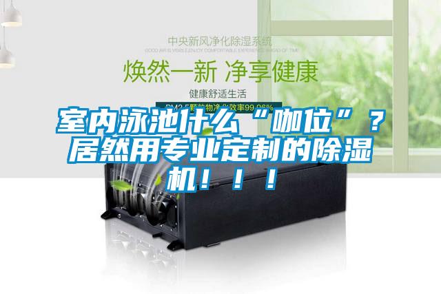 室內泳池什么“咖位”？居然用專(zhuān)業(yè)定制的除濕機?。?！