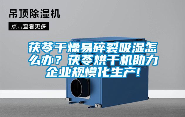 茯苓干燥易碎裂吸濕怎么辦？茯苓烘干機助力企業(yè)規?；a(chǎn)!