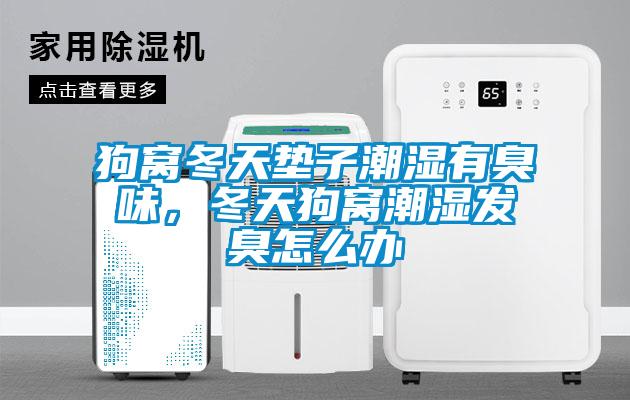 狗窩冬天墊子潮濕有臭味，冬天狗窩潮濕發(fā)臭怎么辦