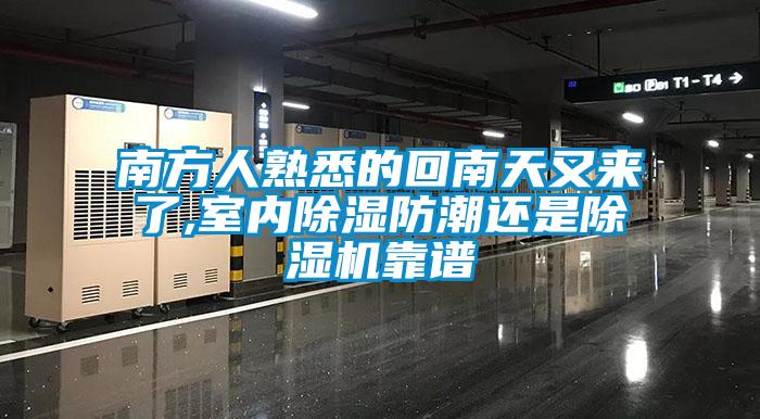南方人熟悉的回南天又來(lái)了,室內除濕防潮還是除濕機靠譜