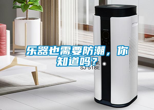 樂(lè )器也需要防潮，你知道嗎？