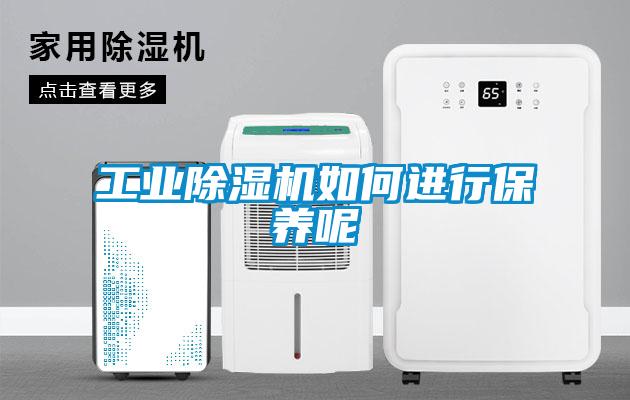 工業(yè)除濕機如何進(jìn)行保養呢