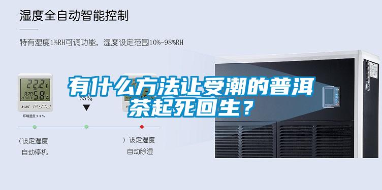 有什么方法讓受潮的普洱茶起死回生？