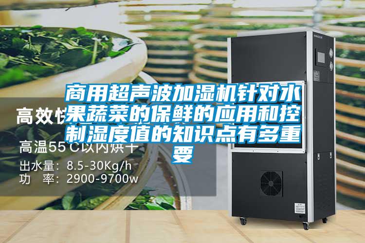 商用超聲波加濕機針對水果蔬菜的保鮮的應用和控制濕度值的知識點(diǎn)有多重要