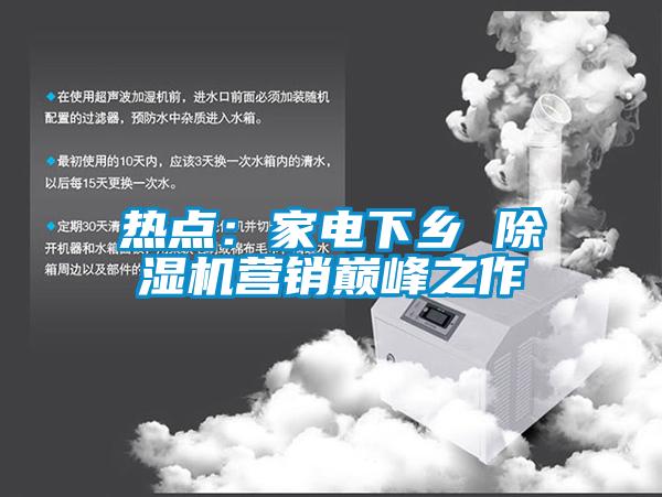 熱點(diǎn)：家電下鄉 除濕機營(yíng)銷(xiāo)巔峰之作
