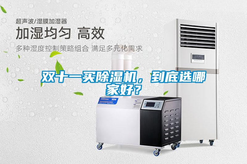 雙十一買(mǎi)除濕機，到底選哪家好？