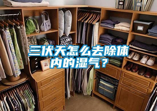三伏天怎么去除體內的濕氣？
