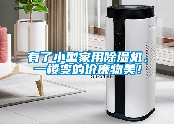 有了小型家用除濕機，一樓變的價(jià)廉物美！