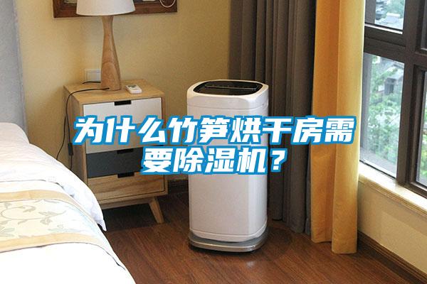 為什么竹筍烘干房需要除濕機？
