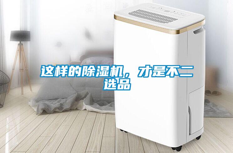 這樣的除濕機，才是不二選品