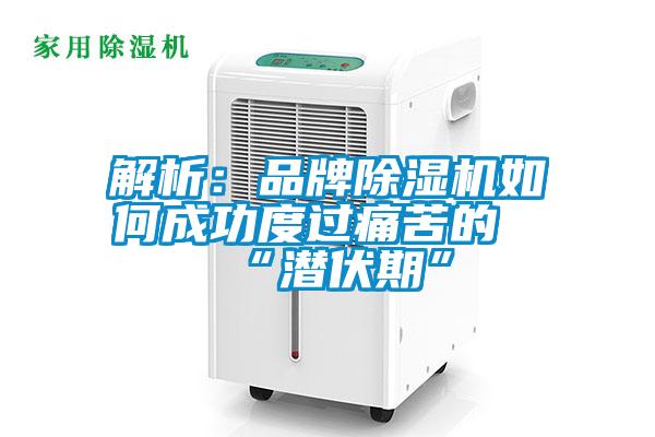 解析：品牌除濕機如何成功度過(guò)痛苦的“潛伏期”
