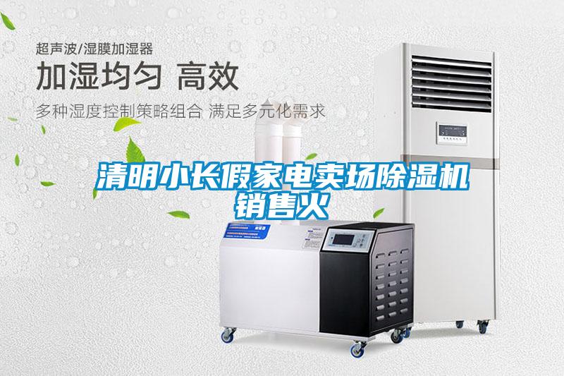 清明小長(cháng)假家電賣(mài)場(chǎng)除濕機銷(xiāo)售火