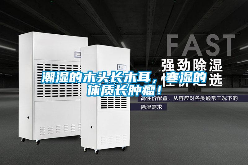 潮濕的木頭長(cháng)木耳，寒濕的體質(zhì)長(cháng)腫瘤！