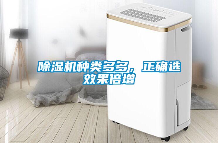 除濕機種類(lèi)多多，正確選效果倍增