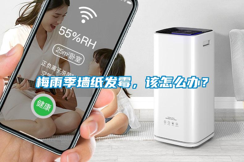 梅雨季墻紙發(fā)霉，該怎么辦？