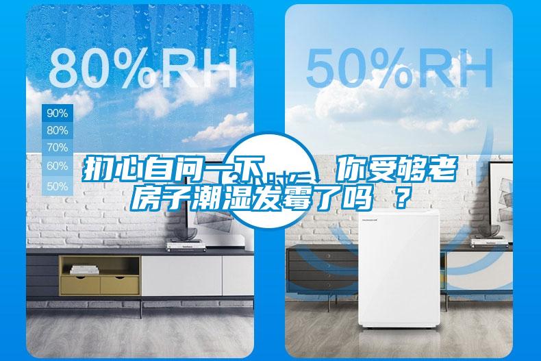 捫心自問(wèn)一下 ， 你受夠老房子潮濕發(fā)霉了嗎 ？