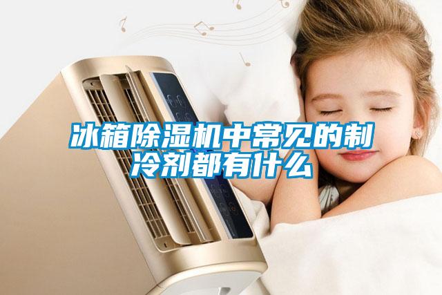 冰箱除濕機中常見(jiàn)的制冷劑都有什么