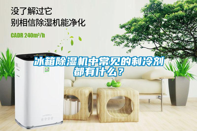 冰箱除濕機中常見(jiàn)的制冷劑都有什么？
