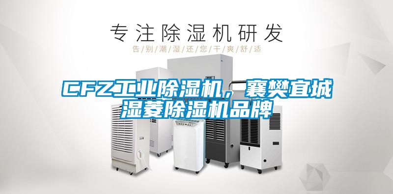 CFZ工業(yè)除濕機，襄樊宜城濕菱除濕機品牌